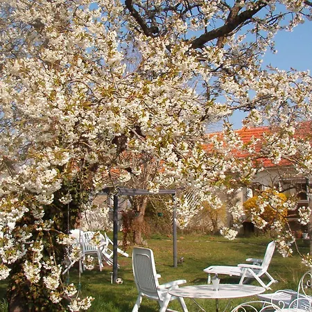 Bed & Breakfast La Longere Des Gillettes Bezenet