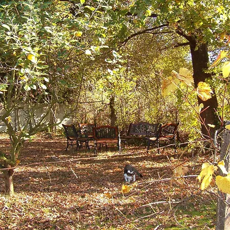 Bed & Breakfast La Longere Des Gillettes Bézenet